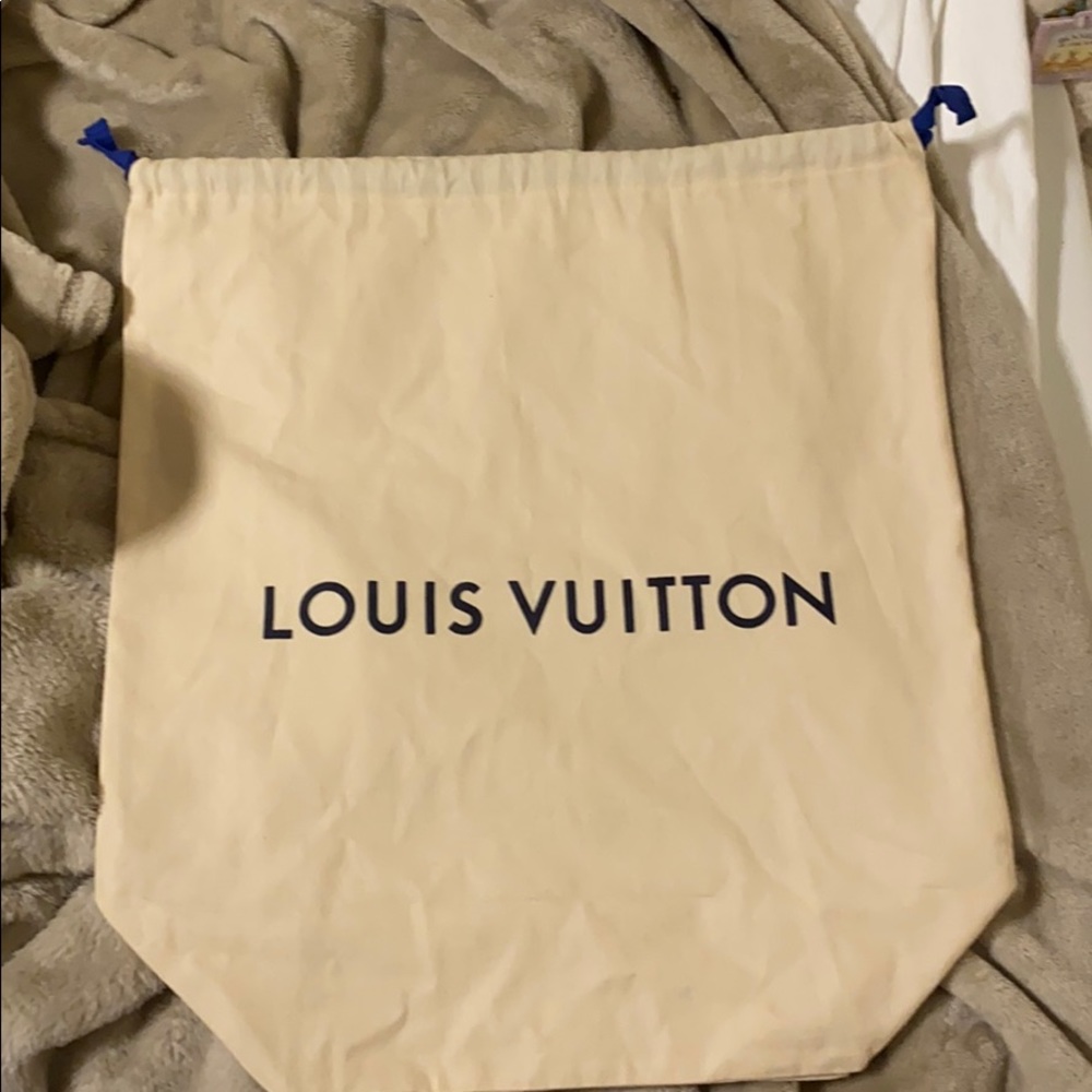 Louis Vuitton Large dust bag